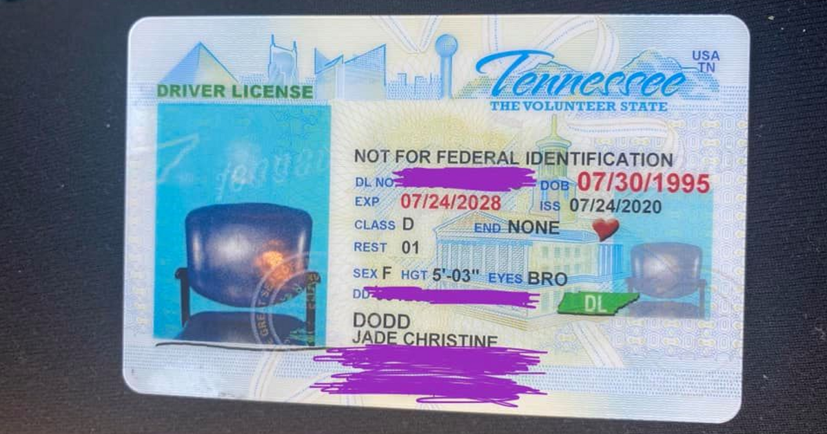 Американке выдали водительские права с фотографией стула - автоновости
